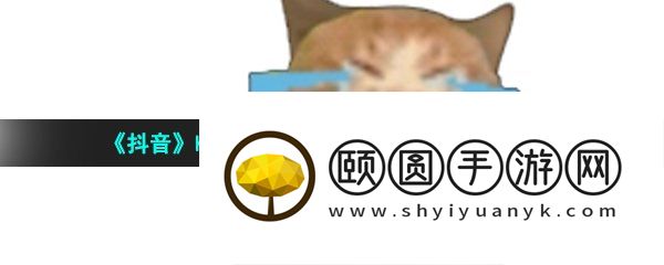 《抖音》happyhappyhappy猫搞笑表情包分享
