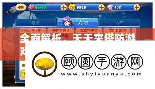 全面解析