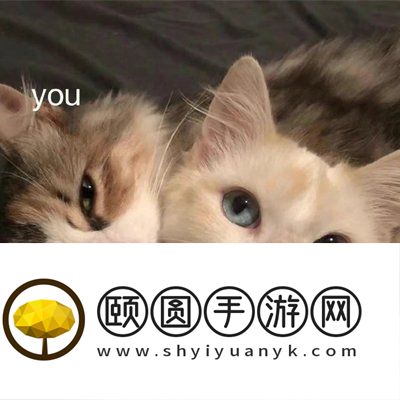 《抖音》雪distance太痛了梗的意思介绍