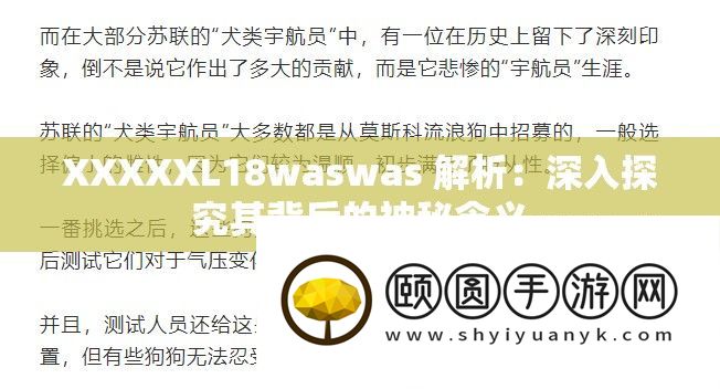 XXXXXL18waswas 解析