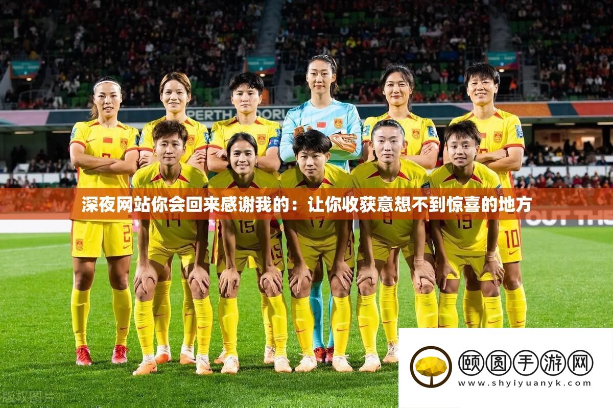 深夜网站你会回来感谢我的