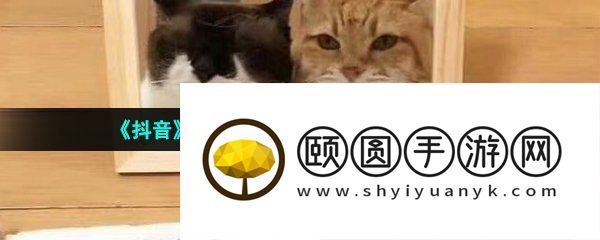 《抖音》阁下又当如何应对梗的意思介绍