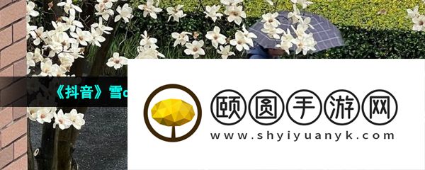 《抖音》雪distance唱完不用回宿舍梗的意思介绍
