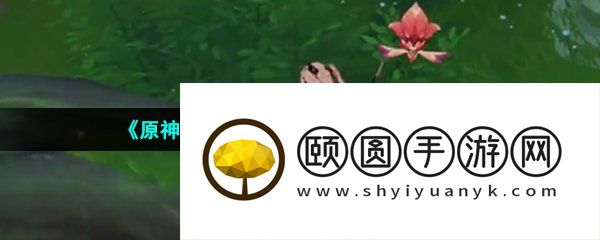 《原神》3.6荼泥黑渊绿色屏障解密攻略