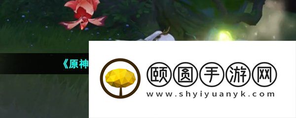 《原神》3.6荼泥黑渊四个火把解谜攻略