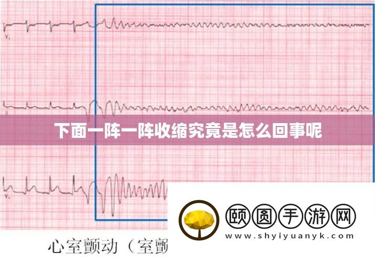 下面一阵一阵收缩究竟是怎么回事呢