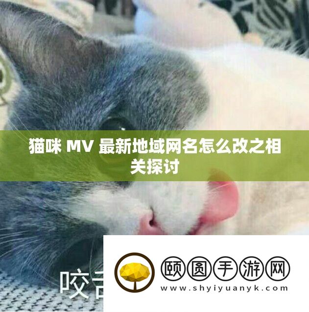 猫咪 MV 最新地域网名怎么改之相关探讨
