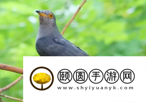 《支付宝》蚂蚁庄园2023年4月16日每日一题答案