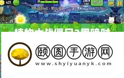 植物大战僵尸2黑暗时代第14关高效通关策略与技巧详解