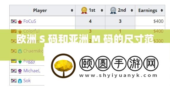 欧洲 S 码和亚洲 M 码的尺寸范围