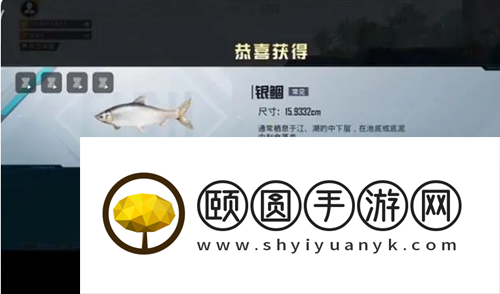 《和平精英》绿洲世界钓鱼上限刷新时间介绍