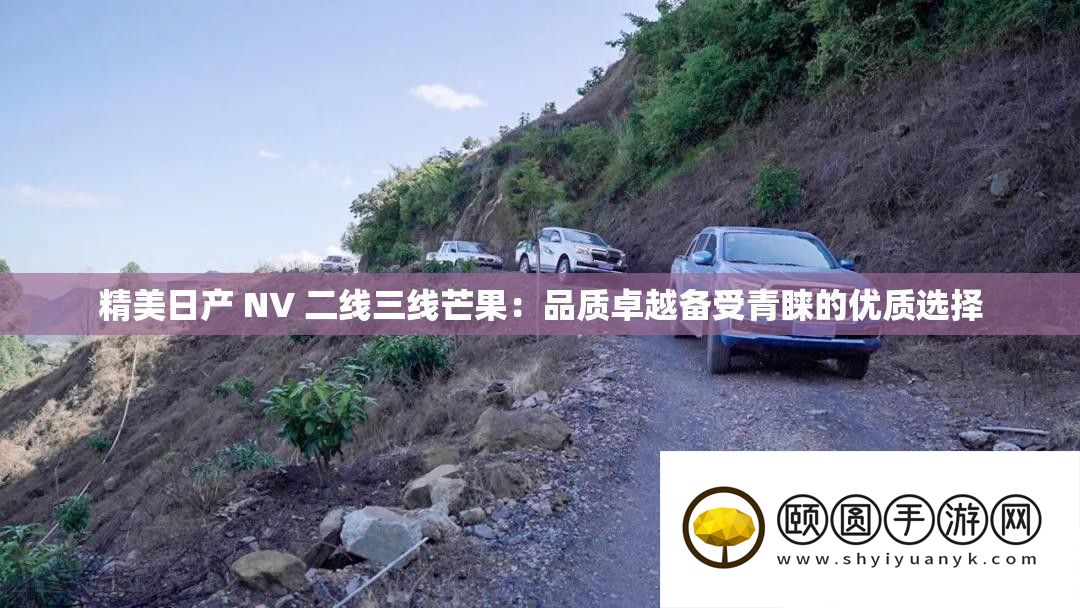 精美日产 NV 二线三线芒果