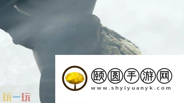 8月5日推出