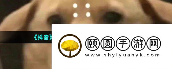《抖音》很内向出门只走下水道梗的意思介绍