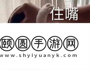 《抖音》哈基米哈基米梗的意思介绍