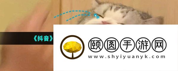《抖音》香蕉猫只会哭梗的意思介绍