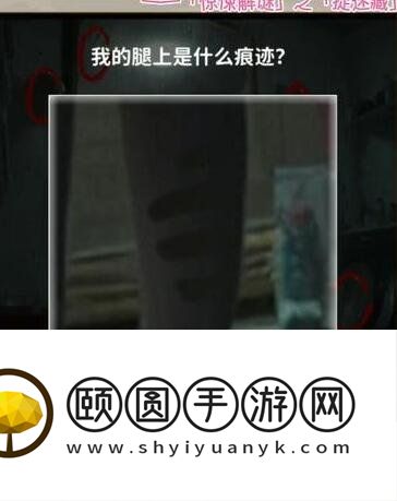 《看不见的真相》捉迷藏通关攻略