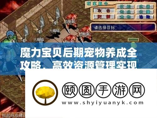 魔力法宝后期宠物养成全攻略