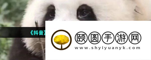 《抖音》动物取名大赛梗的意思介绍