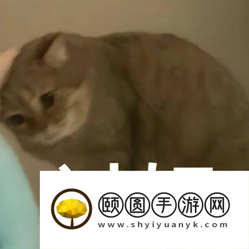 《抖音》动物取名大赛梗的意思介绍