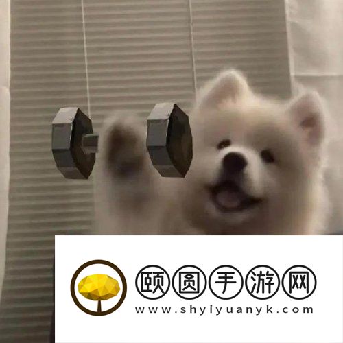 《抖音》动物取名大赛梗的意思介绍
