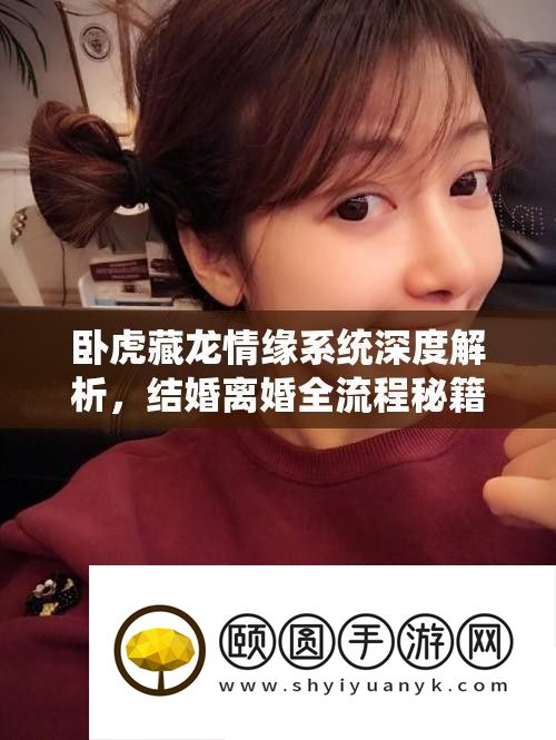 卧虎藏龙情缘系统深度分析