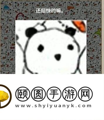 《看不见的真相》寻找熊猫通关攻略
