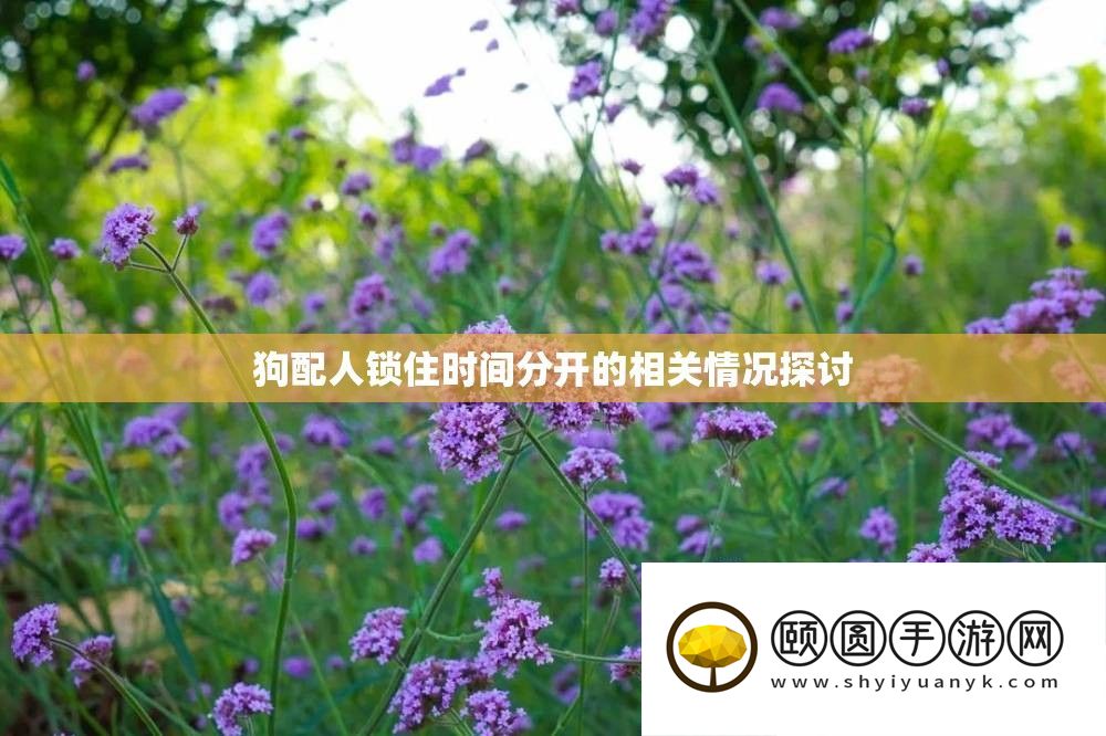 狗配人锁住时候分开的相关情形切磋