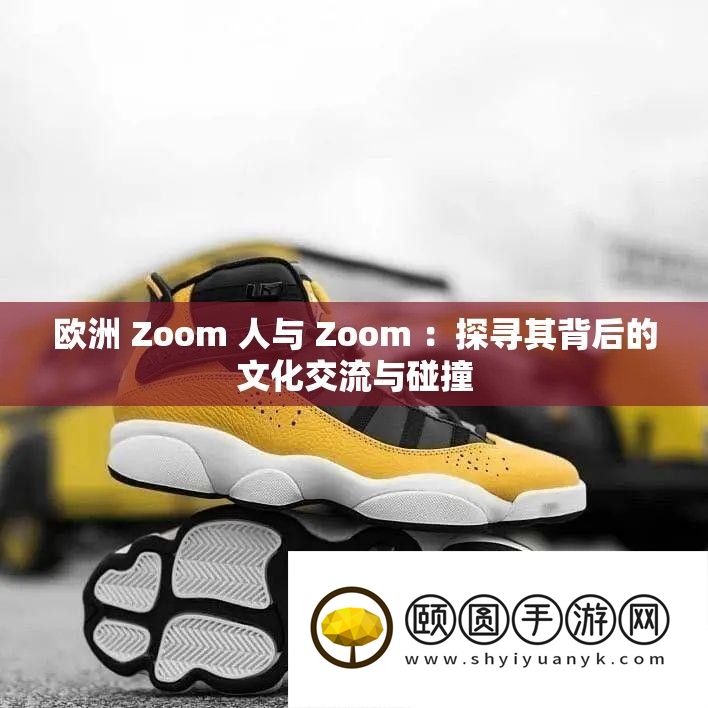 欧洲 Zoom 人与 Zoom 