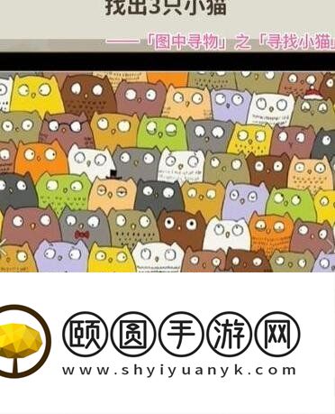 《看不见的真相》寻找小猫找出三只小猫