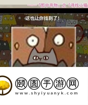 《看不见的真相》寻找小猫找出三只小猫