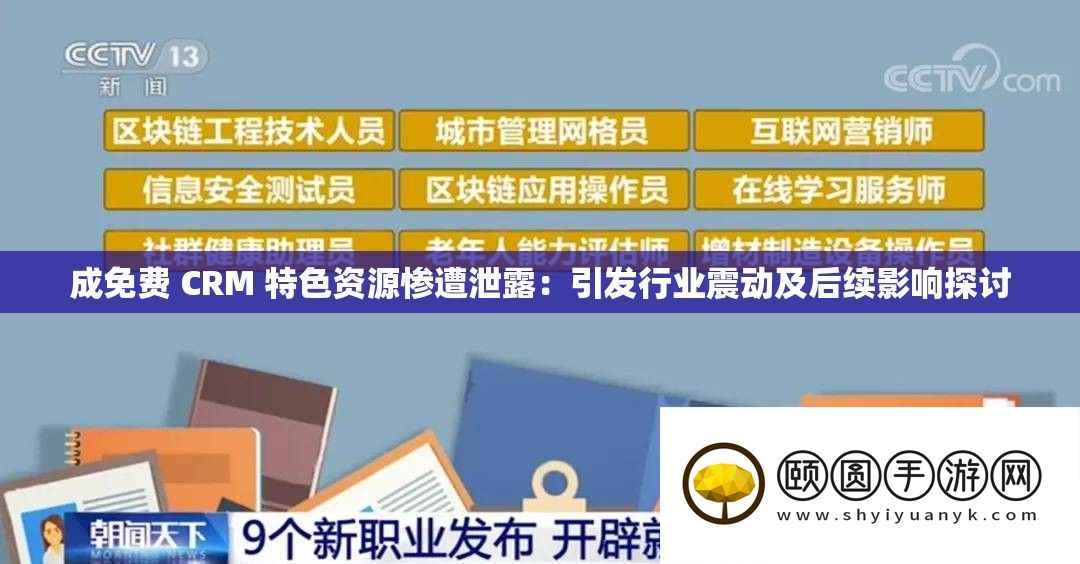 成收费 CRM 特点资本惨遭泄漏