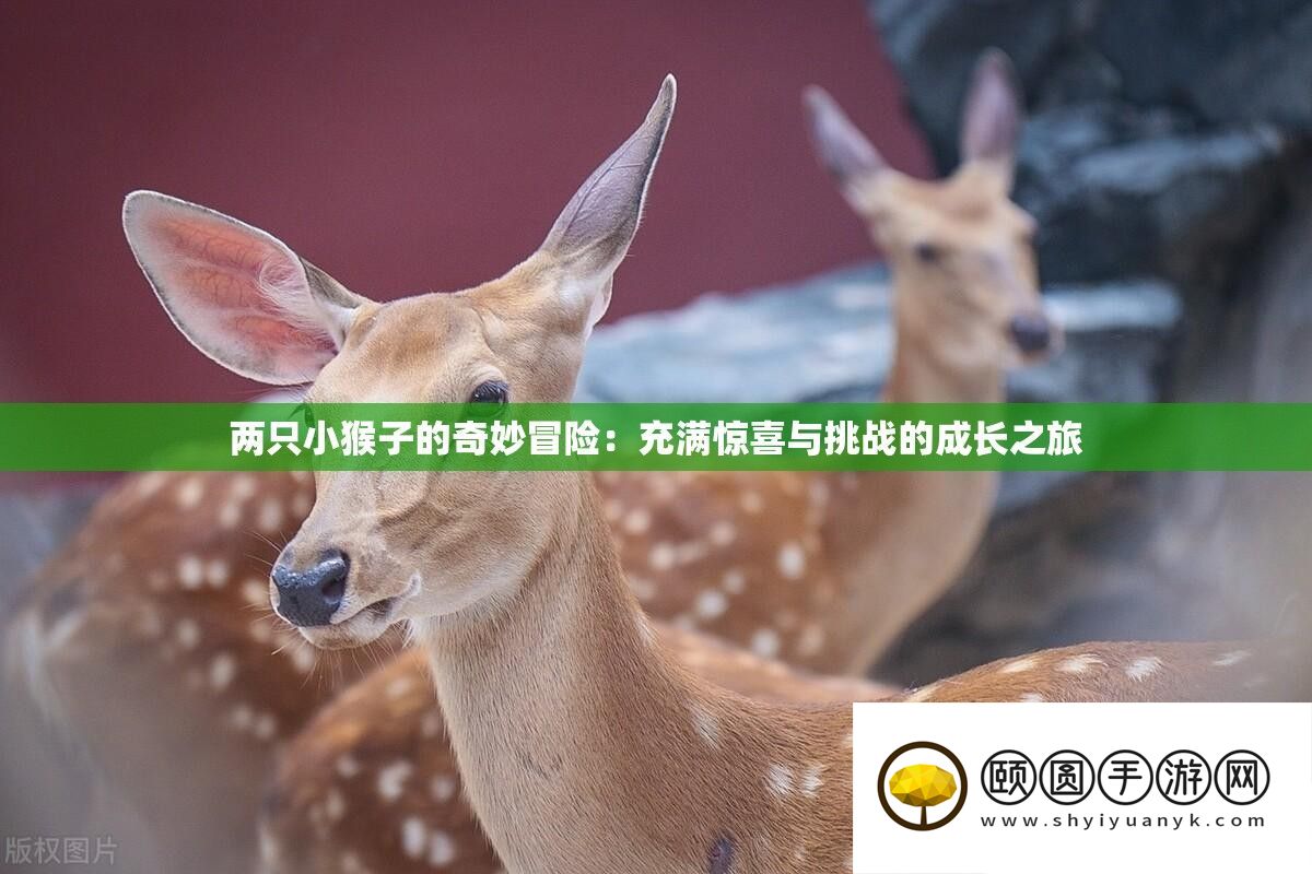 两只小猴子的巧妙冒险