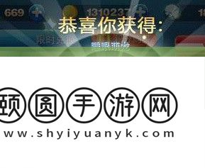 揭秘每天酷跑中睡眼萌龙的最好同伴抉择