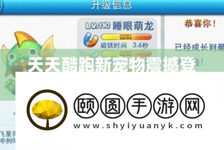 每天酷跑新宠物震动退场
