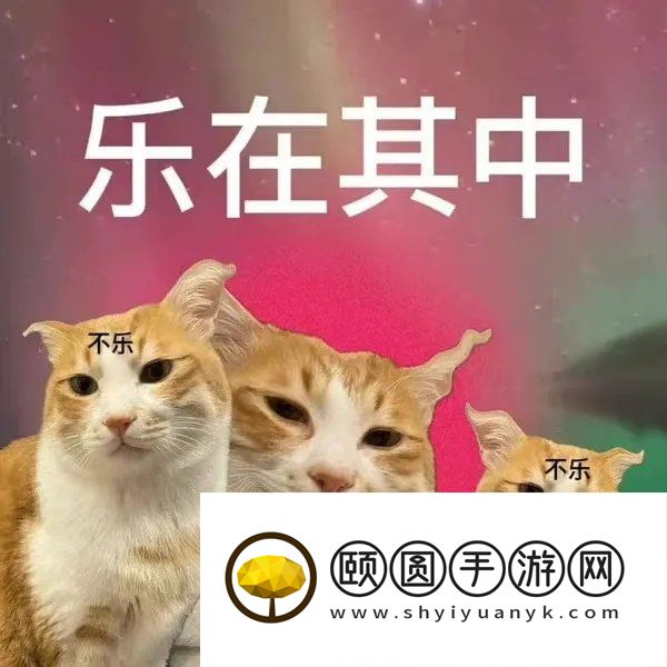 《抖音》各省战歌梗的意思介绍