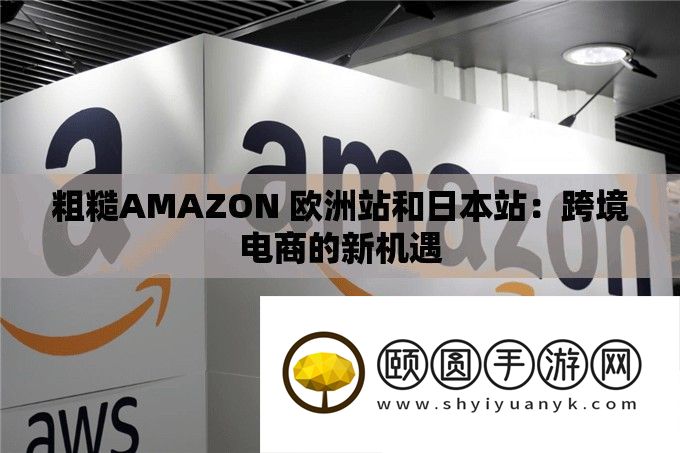 粗糙AMAZON 欧洲站和日本站