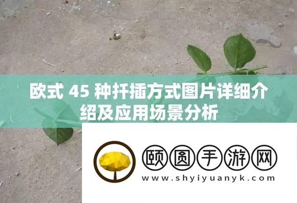 欧式 45 种扦插方法图片具体分享及应用处景剖析
