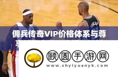 佣兵传奇VIP价钱系统与尊享特权周全深度揭秘分析