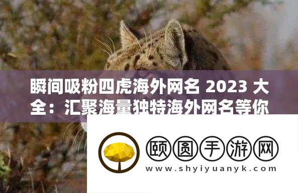 刹时吸粉四虎海外网名 2023 大全
