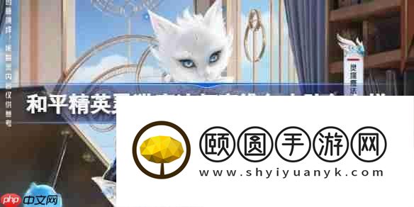 和平精英灵猫魔法师塞维尔皮肤价格