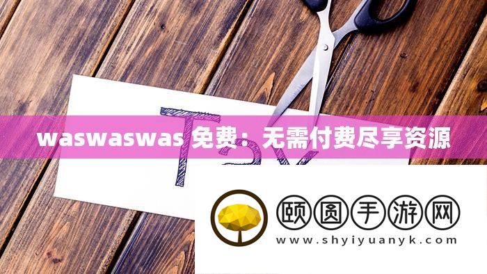 waswaswas 收费