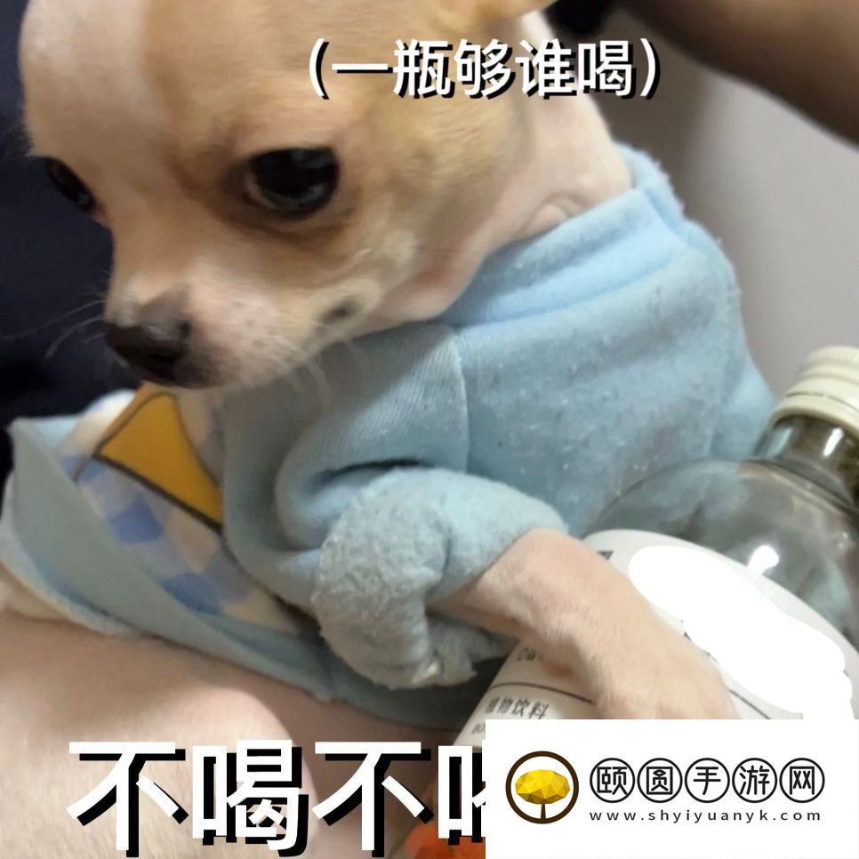 网络用语外外外星人梗的意思介绍