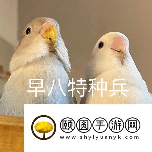 《抖音》大学生报复性旅游梗的意思介绍