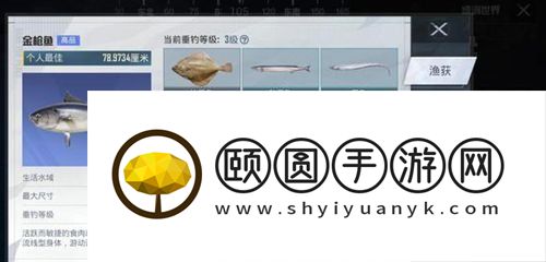 《和平精英》绿洲世界钓鱼图鉴一览