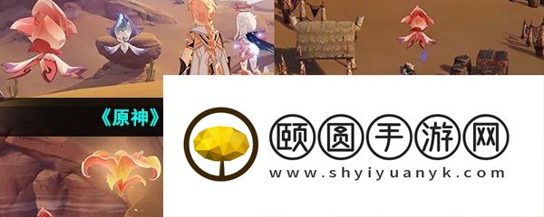 《原神》3.6版本忆昔诸途巡历活动玩法介绍