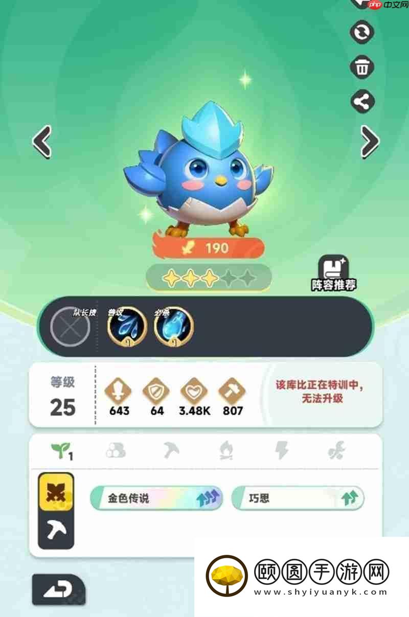 前期实用宠物推荐大全