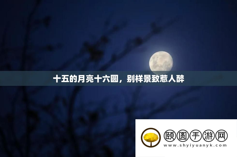 十五的月亮十六圆