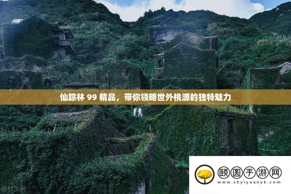 仙踪林 99 精品