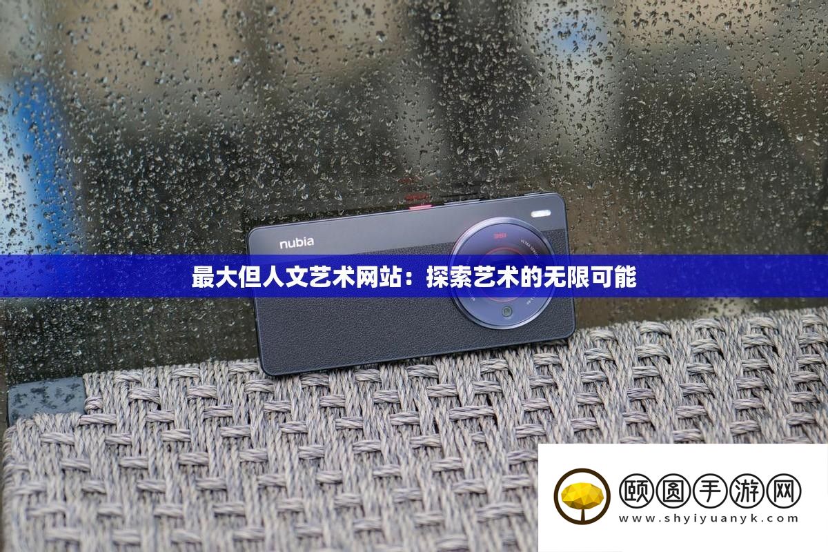 最大但人文艺术网站